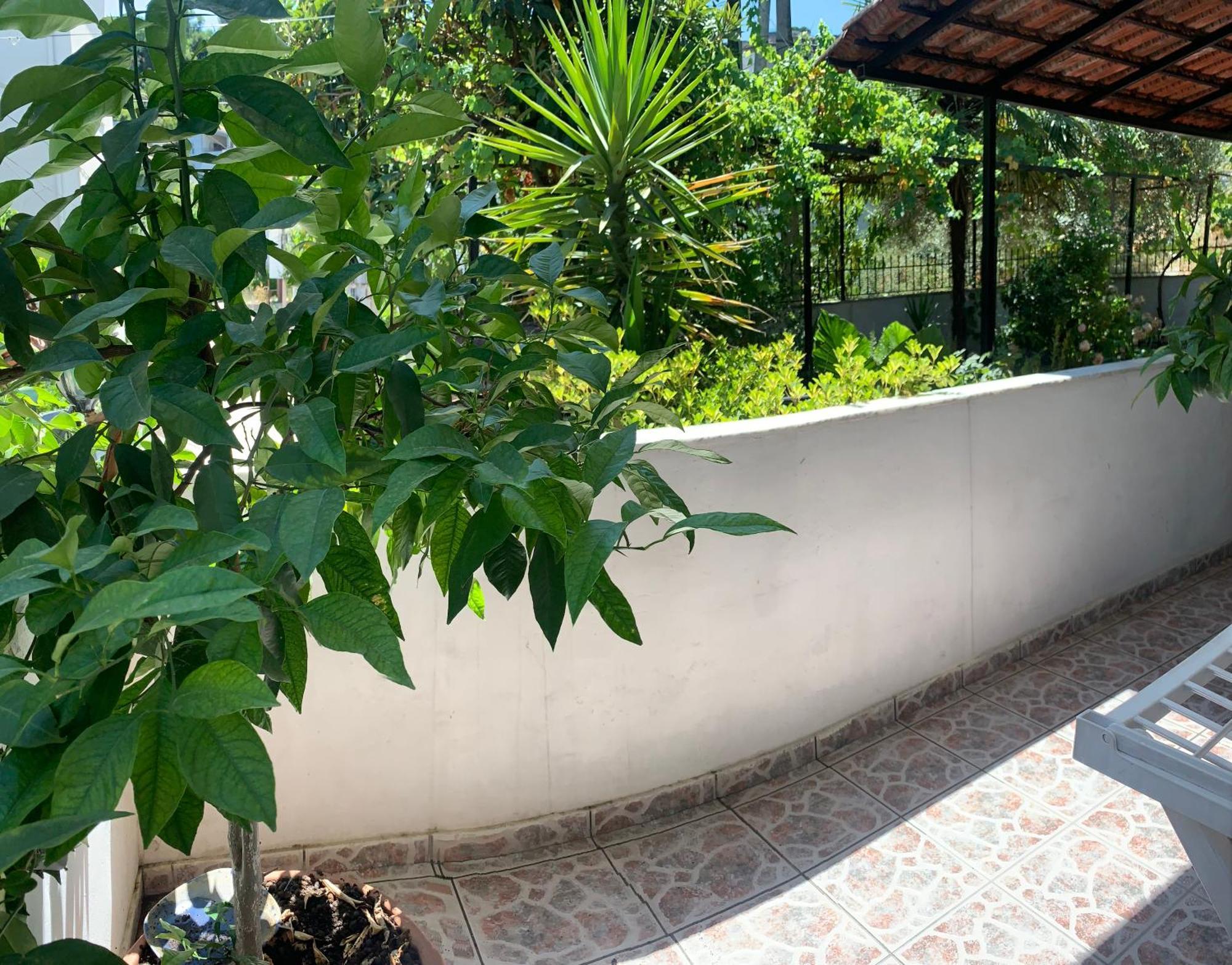 Christina'S House With 2 Bedrooms And Free Parking Gjirokastër 외부 사진